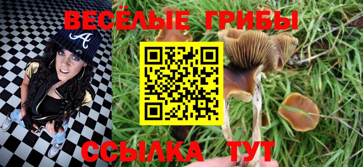 Асино  Псилоцибиновые грибы мухоморы  Вход с VPN 