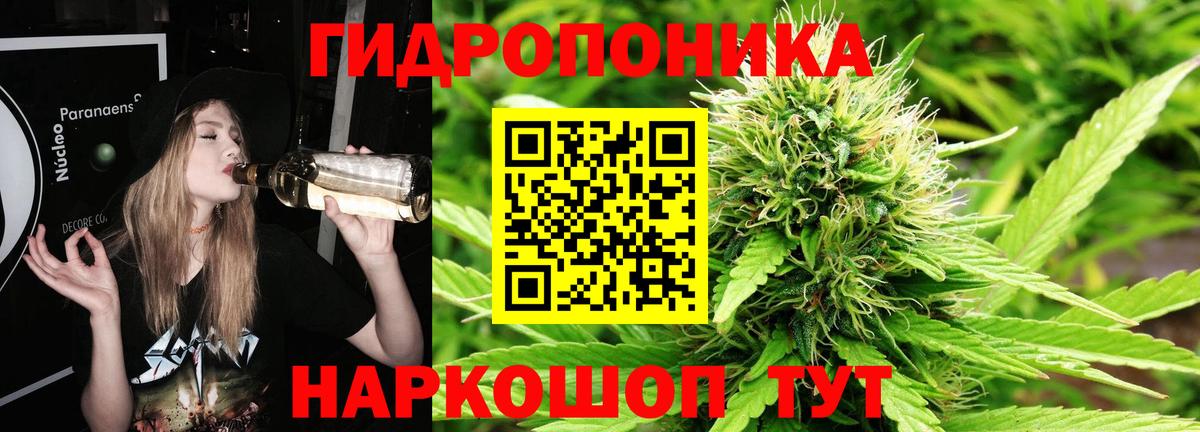 Асино  Конопля Bruce Banner  Вход с VPN  Бошки марихуана Bruce Banner  Бошки марихуана конопля 
